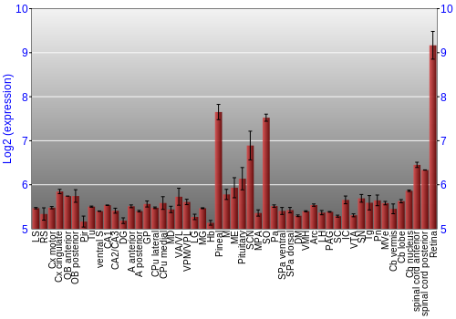 Expression graph