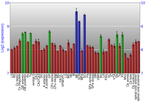 Multi-state expression graph