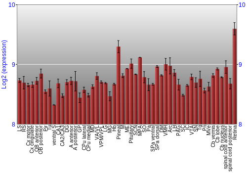 Expression graph