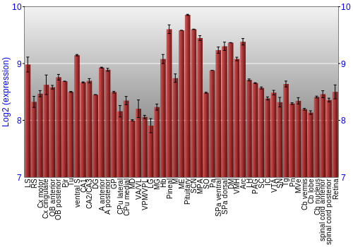 Expression graph
