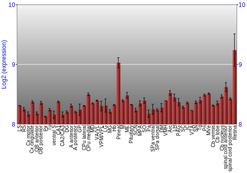Expression graph