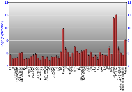 Expression graph