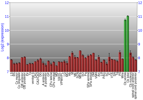 Multi-state expression graph