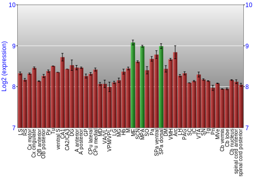 Multi-state expression graph