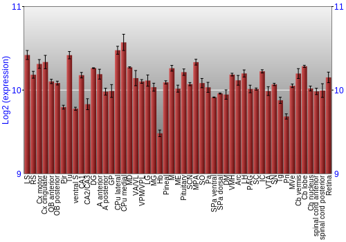 Expression graph