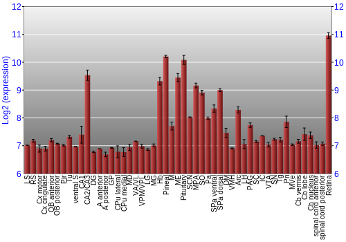 Expression graph