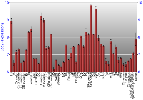 Expression graph
