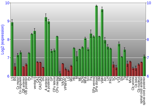 Multi-state expression graph