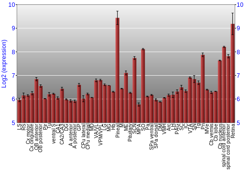 Expression graph