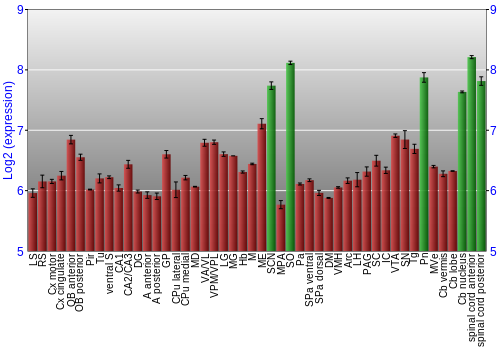 Multi-state expression graph