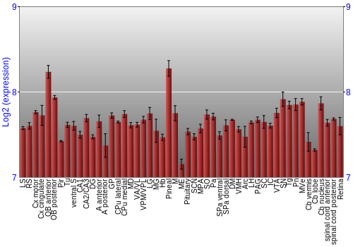 Expression graph