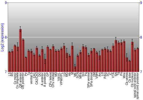 Multi-state expression graph