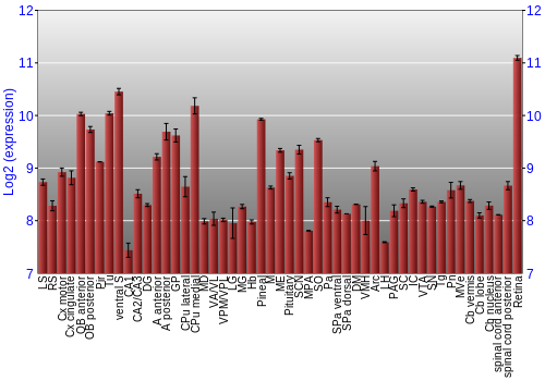 Expression graph