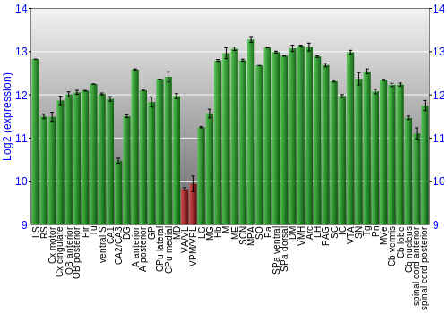Multi-state expression graph