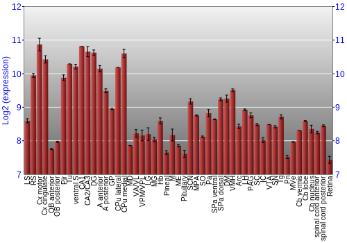 Expression graph