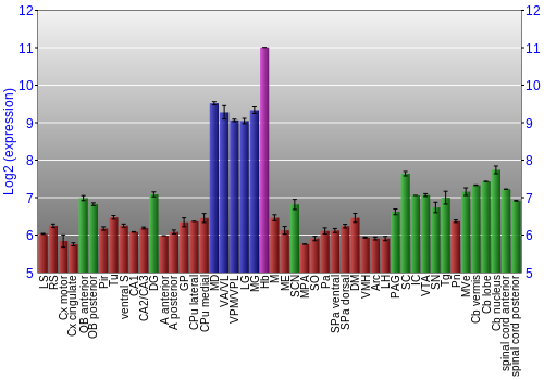 Multi-state expression graph