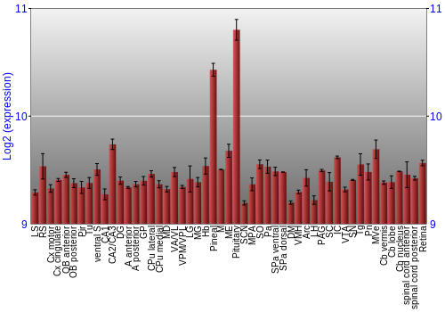 Expression graph