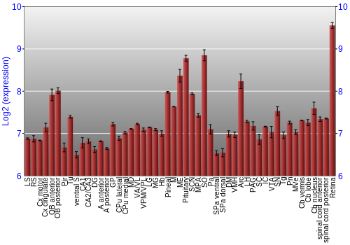 Expression graph