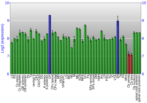 Multi-state expression graph