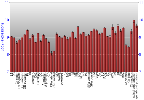 Multi-state expression graph