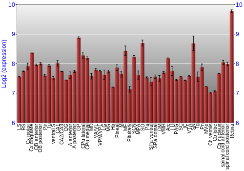 Expression graph