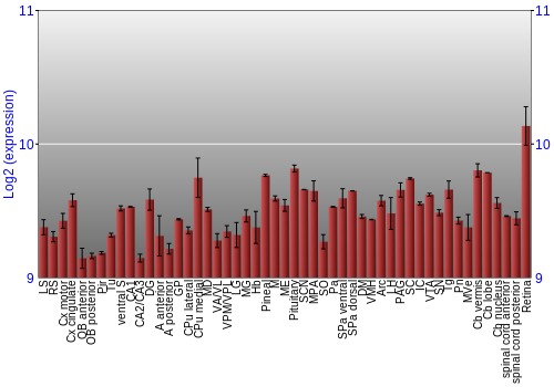 Expression graph
