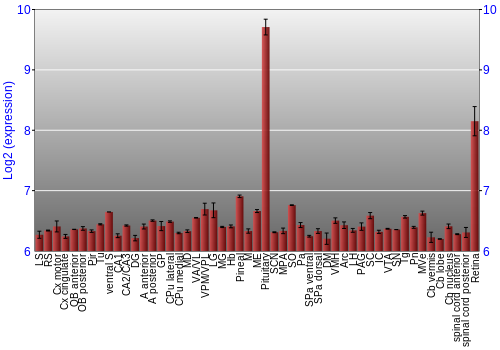 Expression graph