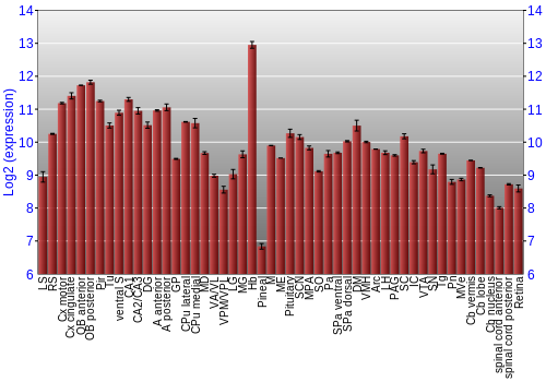 Expression graph