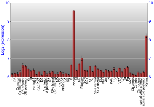 Expression graph