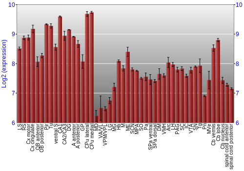 Multi-state expression graph
