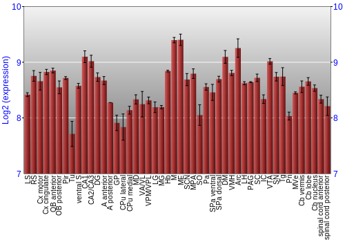 Multi-state expression graph