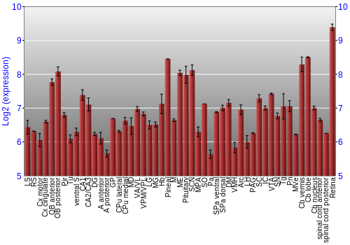 Expression graph