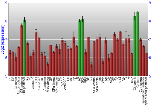 Multi-state expression graph