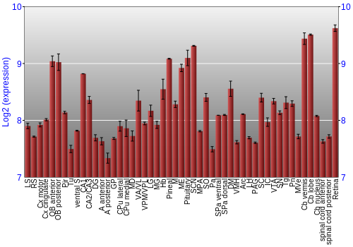 Expression graph