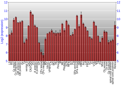Expression graph
