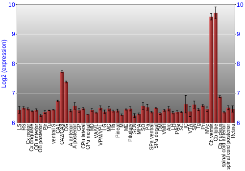 Expression graph
