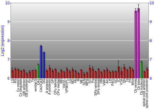 Multi-state expression graph