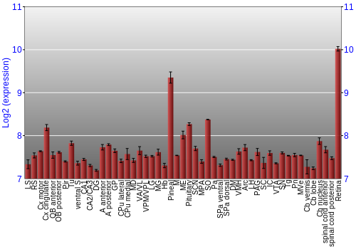 Expression graph