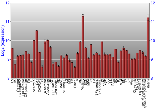 Expression graph