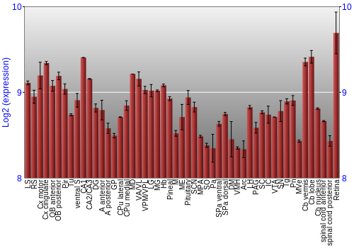 Expression graph