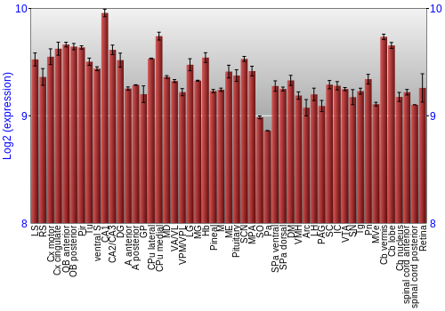 Expression graph