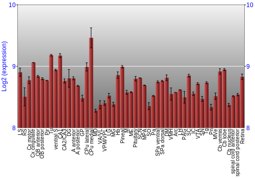 Expression graph