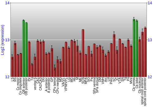 Multi-state expression graph
