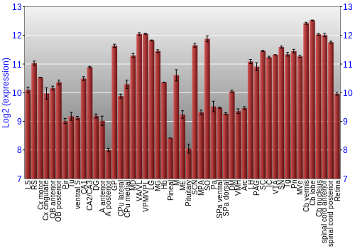 Expression graph