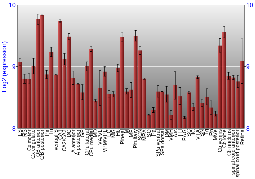 Expression graph