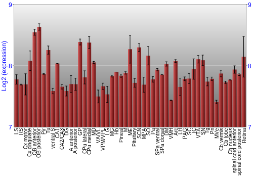 Expression graph