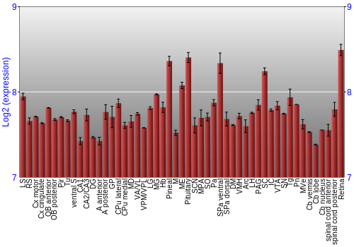 Expression graph