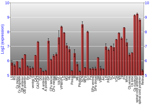 Expression graph