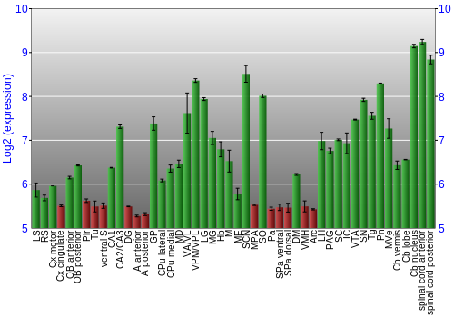 Multi-state expression graph