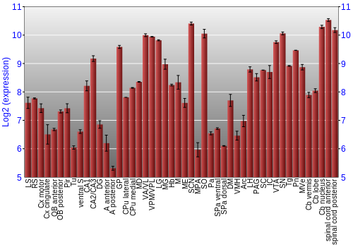 Multi-state expression graph